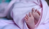 Более 250 детей родилось в Ленобласти за неделю