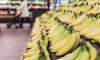 Цены на бананы в России обновили пятилетний максимум 