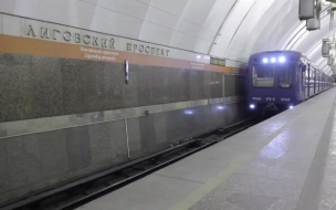 В Петербурге извращенец надругался над девушкой в вагоне метро