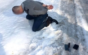 ФСБ задержала европейца с ножами, топором и пистолетом на границе России