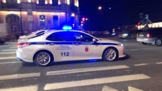 Полиция изъяла старинные оружие и боеприпасы в ходе обысков в Петербурге и Ленобласти