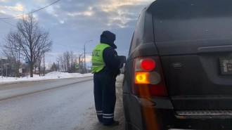 В январе Госавтоинспекция проводит дополнительную работу в аварийных местах в Ленобласти