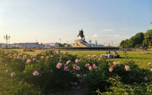 В Петербурге 28 июня во второй половине дня местами ожидаются грозовые дожди