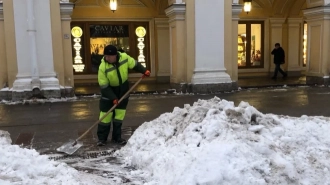 Внутриквартальные территории Петербурга обеспечены дворниками на 92%