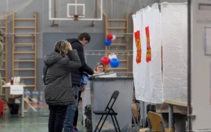 По итогам двух дней явка на президентских выборах в Петербурге превысила 54%