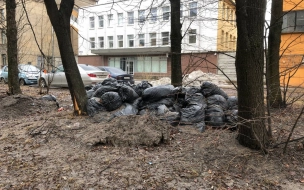 На Таллинской улице заметили пакеты с листвой. Сезон давно закончился
