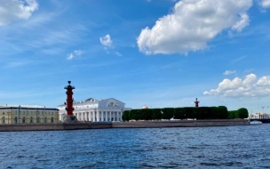 В Петербург 17 июня к вечеру придут дожди