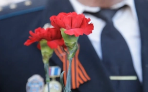 Ветераны и активисты поддержали новую концепцию музея "Дорога жизни" ко Дню Победы