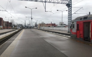 Нетрезвая женщина в Ленобласти пыталась толкнуть школьниц под поезд