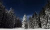 В Ленобласти 12 декабря местами пройдёт сильный снег