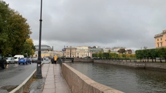 МЧС: в Петербурге подует сильный ветер 30 октября