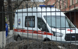 Полиция выясняет обстоятельства ДТП в Невском районе, в котором погиб пешеход 