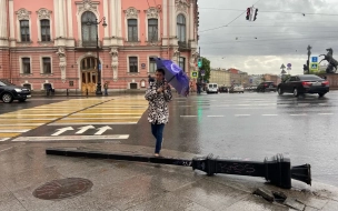 "Желтый уровень" объявили в Петербурге из-за погодных условий