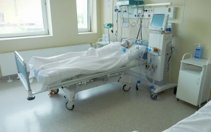 В Петербурге резко выросло суточное число госпитализированных с COVID-19