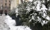 Петербург обновил "снежный максимум" до 23 сантиметров