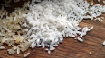 В Петербург запретили ввоз 27 тонн риса из Индии