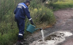 Петербургская прокуратура занялась разливом химических отходов в Выборгском районе