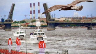 В ближайшие недели пройдут репетиции Главного военно-морского парада в Петербурге