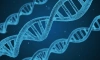 Ученые выяснили, что геном современного человека уникален на 1,5-7%