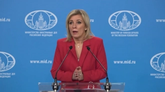 Захарова раскритиковала идею США о покупке Командорских островов