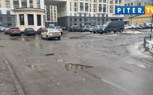 В Петербурге 29 февраля ожидается без существенных осадков