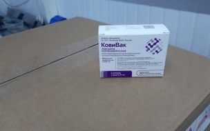 В Москве снова закончилась вакцина "Ковивак"
