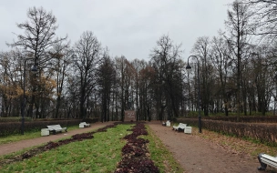 Неизвестные вандалы изуродовали памятник Ленину в Красном Селе