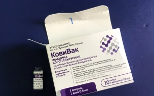 В пятницу более 32 тыс. петербуржцев сделали прививку от коронавируса