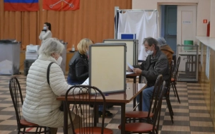В СПбГУ осудили действия студента, предложившего заработать на выборах