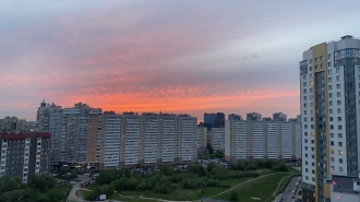 В понедельник в Петербурге сохранится тёплая погода, местами возможны грозы