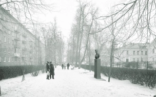 Градостроительный совет одобрил проект памятника Гумилеву в Кронштадте