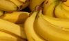 В бананах нашли 50 кг наркотиков на овощебазе Петербурга