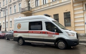 В Петербурге десятиклассница выпала из окна многоэтажки после гибели родителей
