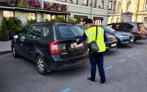 В Петербурге пешие инспекторы очистили более 22 тыс. госномеров в зоне платной стоянки