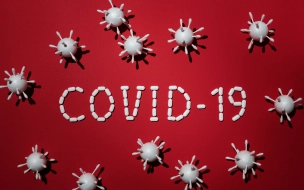 За минувшие сутки в Ленобласти зарегистрировали 242 новых случая COVID-19