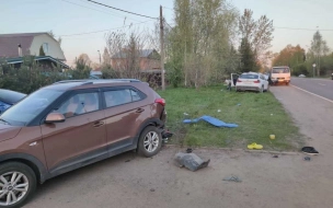 Прокуратура займется делом со смертельным ДТП в Стрельне