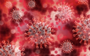 Ученые нашли связь между погодой и распространением коронавируса 