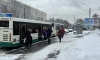 С 15 марта в Петербурге усилили движение автобусов на 3 популярных маршрутах