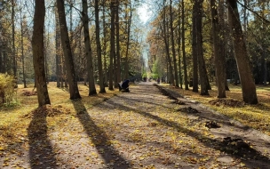 Теплая погода в Петербурге сохранится до четверга