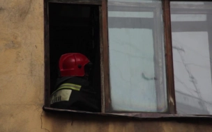 В пожаре в деревне Черная Речка сильно пострадала пожилая хозяйка дома