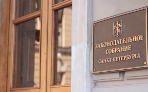 Петербургские комитетам не дадут "осваивать" средства в рамках "депутатских поправок"