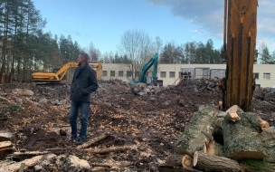 Жителя Ломоносовского района обвиняют в незаконной рубке леса