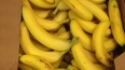 В партии бананов из Эквадора в порту Петербурга нашли ...