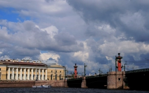 В честь Дня ВМФ в Петербурге зажгли Ростральные колонны за час до праздника