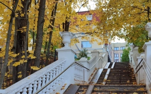 Петербуржцы назвали любимые парки для осенних прогулок  
