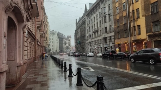 "Желтый" уровень опасности продлен в Петербурге из-за ветра, грозы и дождя