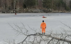 Житель Ленобласти погиб, провалившись под лед реки Вуокса