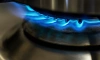 Россиянам посоветовали менять газовую плиту каждые 10-12 лет