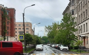 24 мая в Петербурге будет дождливо и ветрено