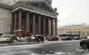 16 января в Петербурге ожидается дождь